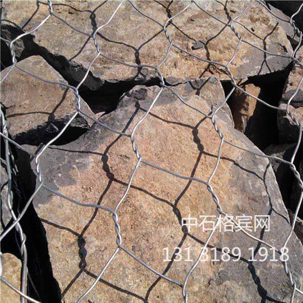 zsshilong02.jpg zsshilong02.jpg