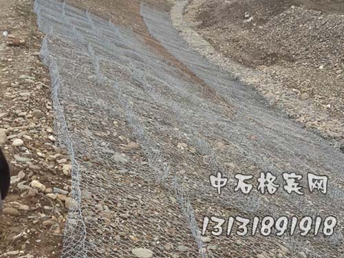 zsgebin11.jpg zsgebin11.jpg