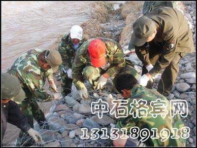 zsshilong46.jpg zsshilong46.jpg