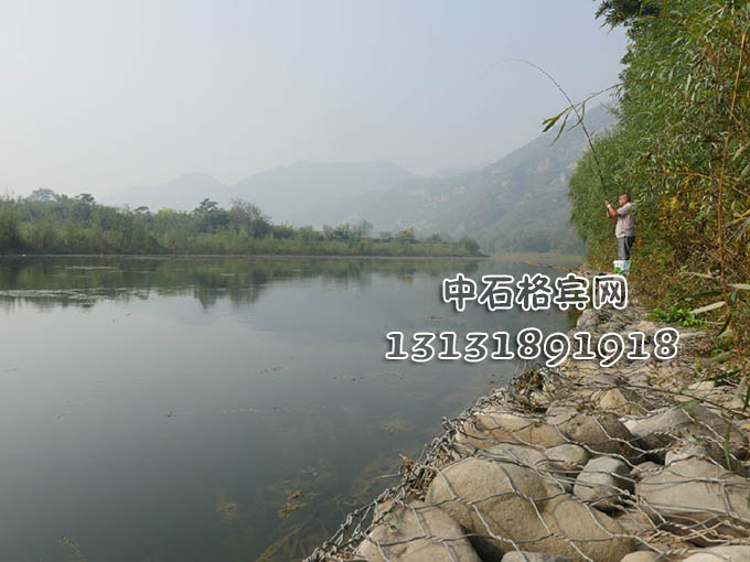 13131891918護岸賓格網(wǎng)廠家 13131891918護岸賓格網(wǎng)廠家