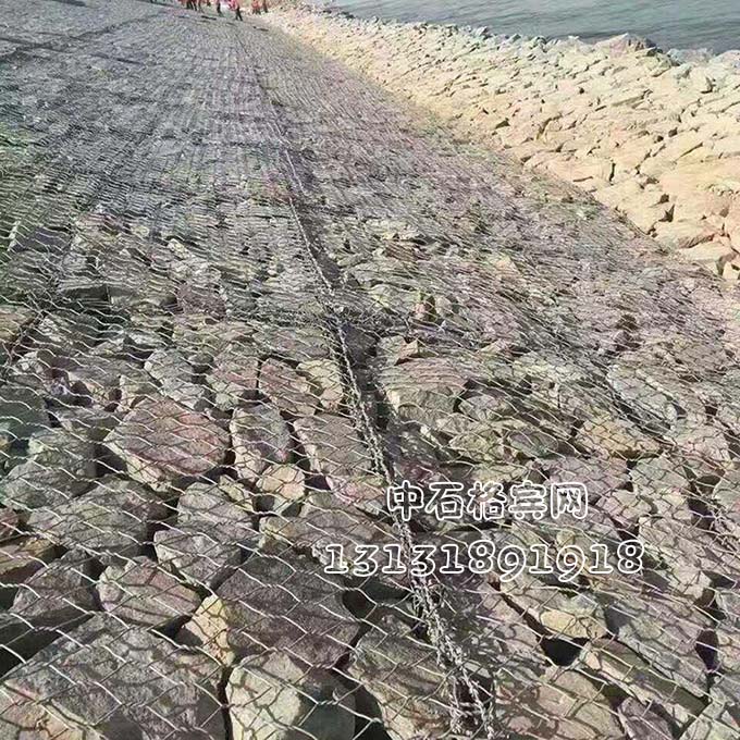 雙隔板雷諾護墊 雙隔板雷諾護墊