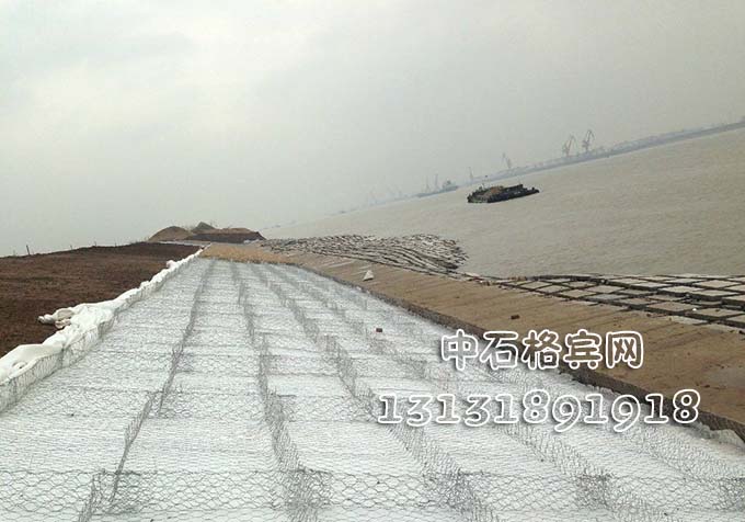 鍍高爾凡雷諾護墊 鍍高爾凡雷諾護墊