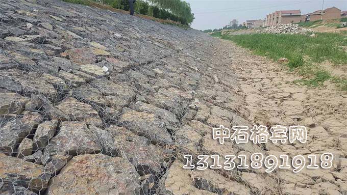 雙隔板雷諾護墊 雙隔板雷諾護墊